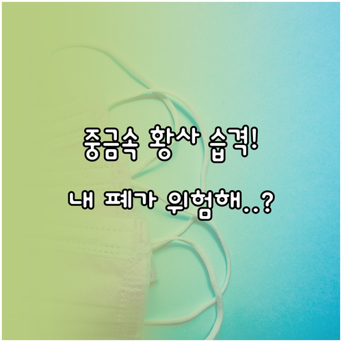 중국발 황사 중금속 오염 위험성과 호..