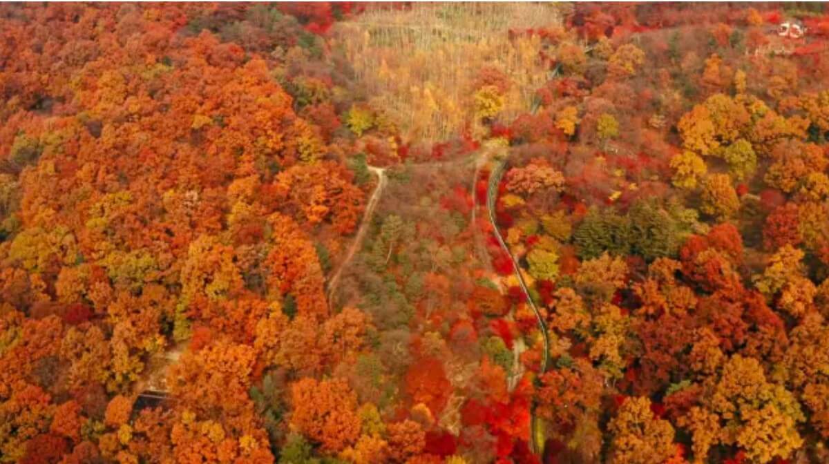가을축제_총정리