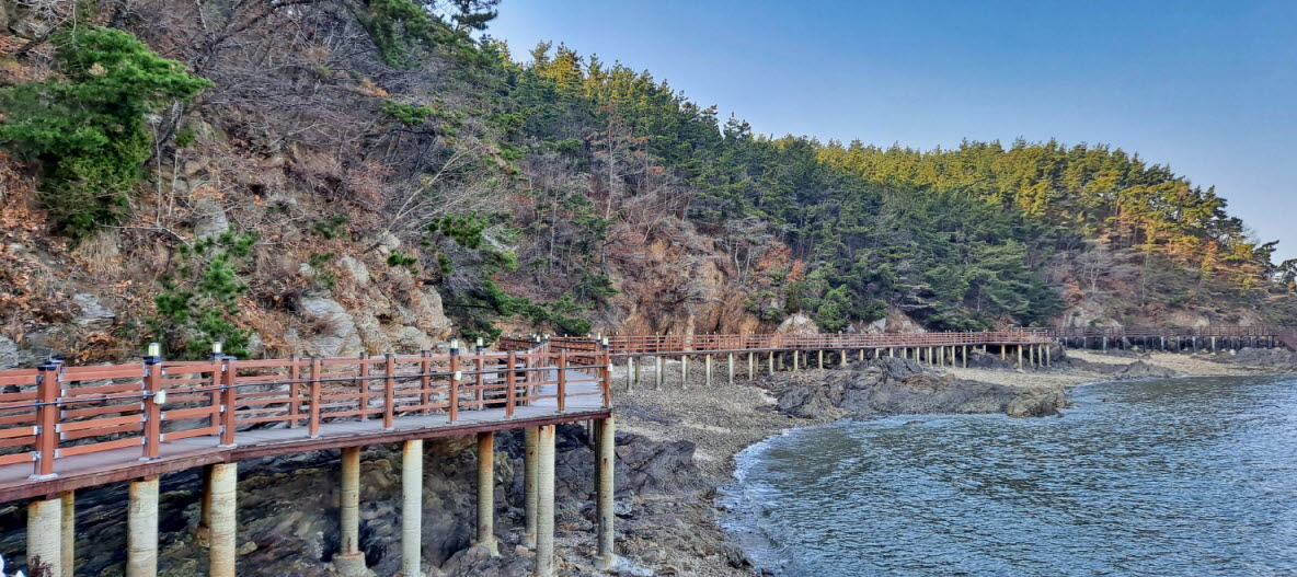 삼척 맹방해수욕장 솔향기길 걷기 좋은 힐링코스 후기