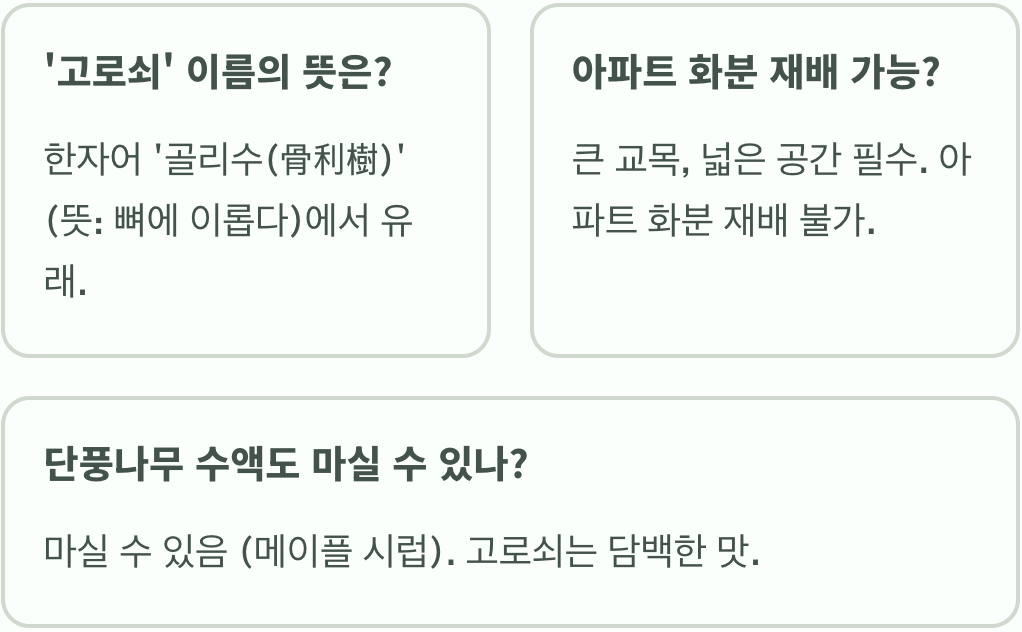 단풍이 아름다운 고로쇠나무 키우기 A to Z