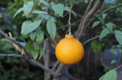 제주도 가볼만한곳 10곳