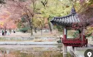 창덕궁 후원