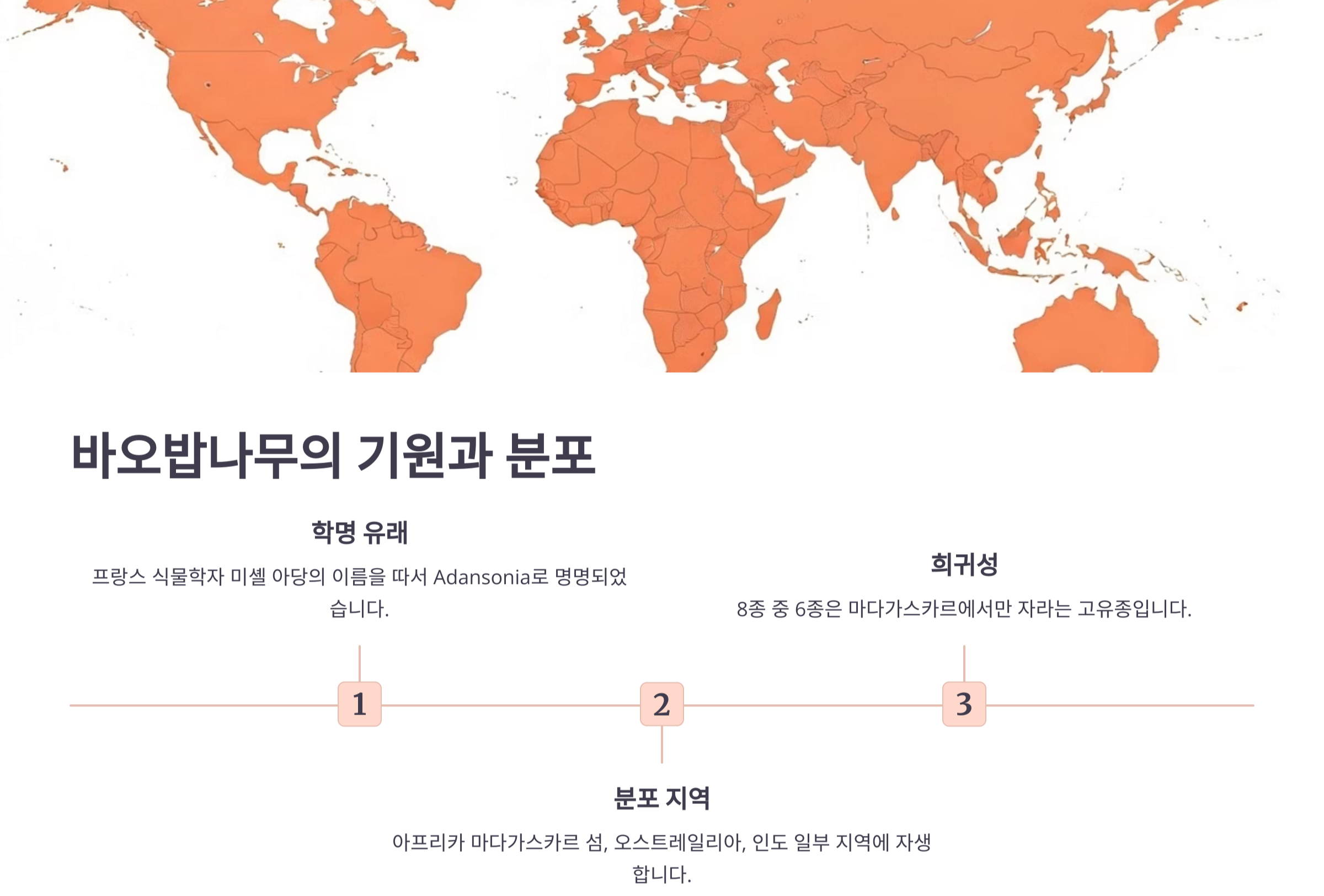 바오밥나무