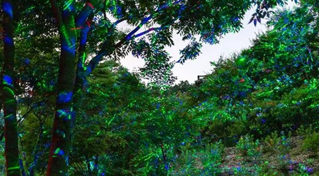 화담숲 예약&amp;#44; 2025년 반딧불이 축제 사전예매