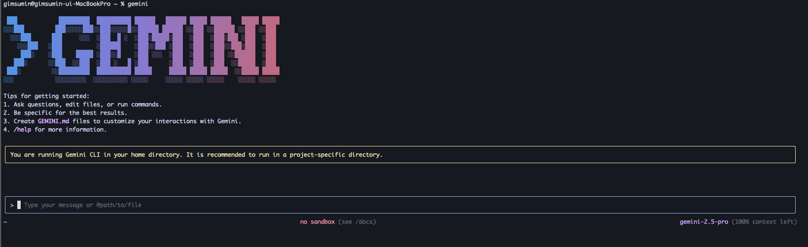 Gemini CLI란 무엇인가 섹션 이미지 - gemini cli 실행한 화면