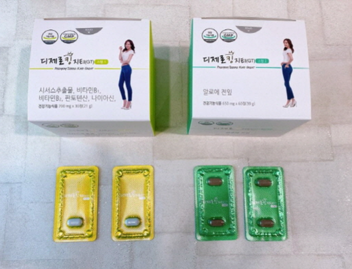 디제로킹 지티 GT 후기