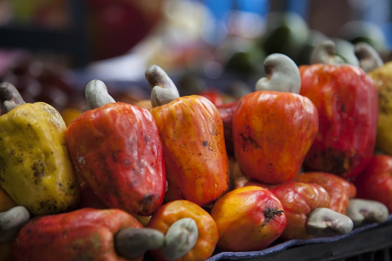 유기농 식품이 환경과 건강을 동시에 지키는 이유
