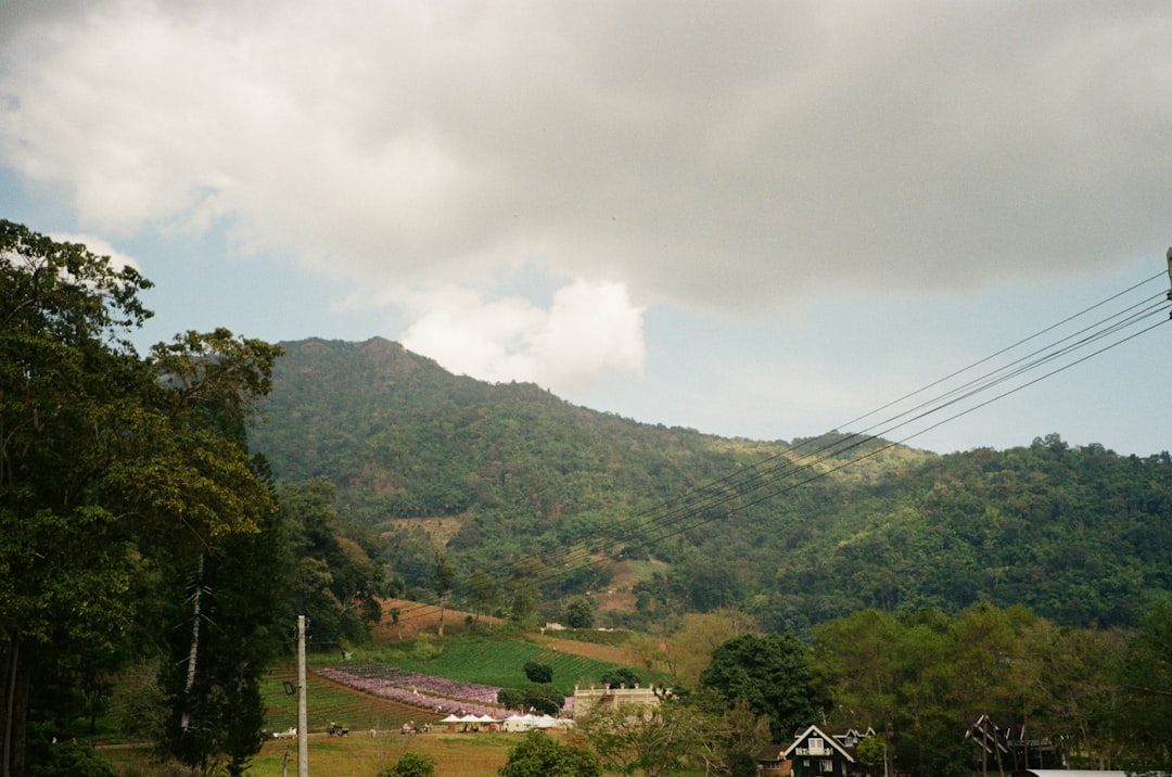 Boramae