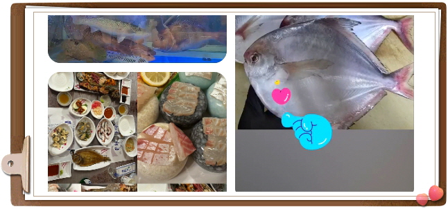 전현무계획2 통영 다찌 모둠해산물 잡어맑은탕 후기