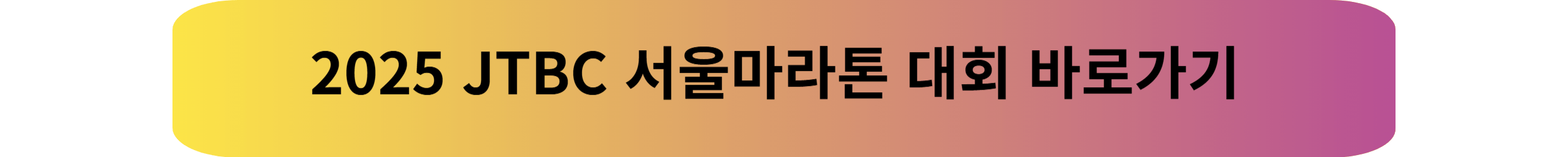 2025 JTBC 서울마라톤, 대회정보 한 눈에 보기