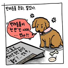 반려동물과 함께 떠나는 여행 가이드|펫프렌들리 숙소, 할인 혜택 관련사진