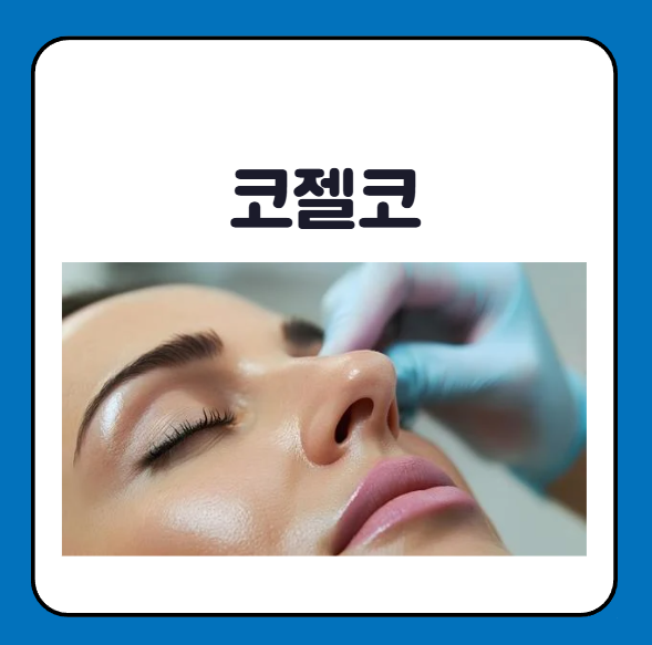 코젤코 부작용 후기 가격 예약 방법 한눈에 보기
