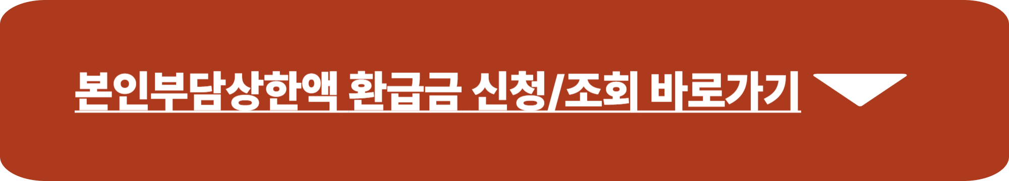 본인부담상한액