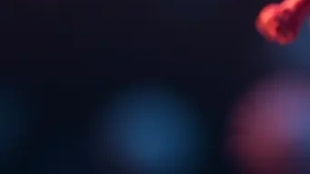 바이러스
