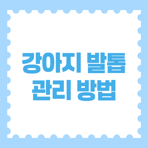 강아지 발톱 관리