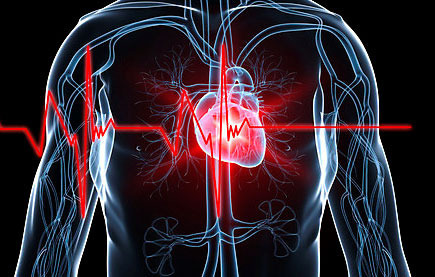 심장에 열이 많을때 좋은 음식