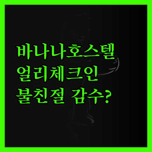 바나나 인터내셔널 유스 호스텔 얼리 