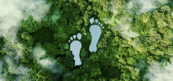 진로설정이 어려운 이들을 위한 가이드 관련 사진