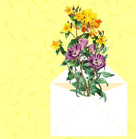 하얀 봉투 안에서 꽃들이 쏟아져 나온다. 노란꽃, 보라색꽃들이다.