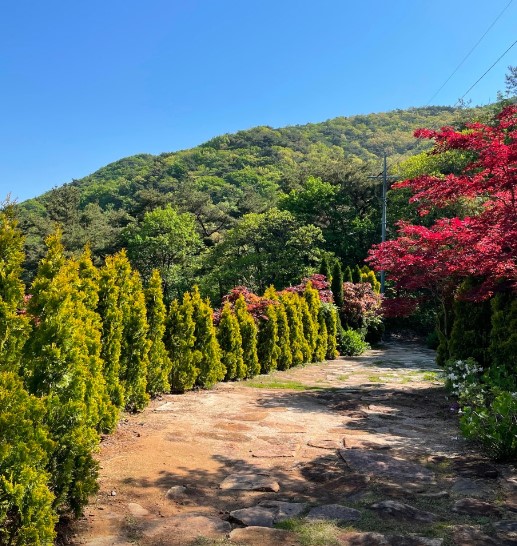 고성 그레이스 정원