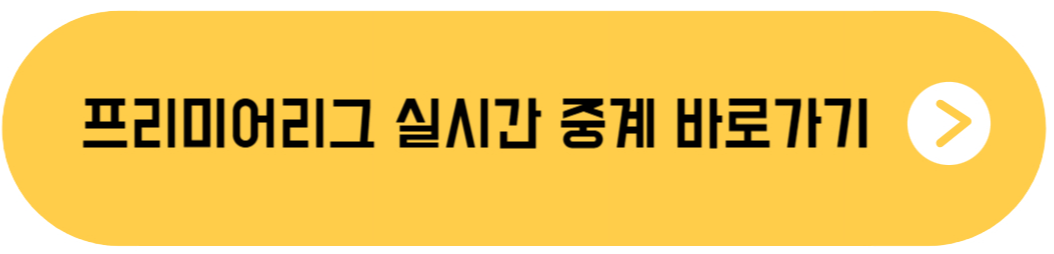 프리미어리그 중계