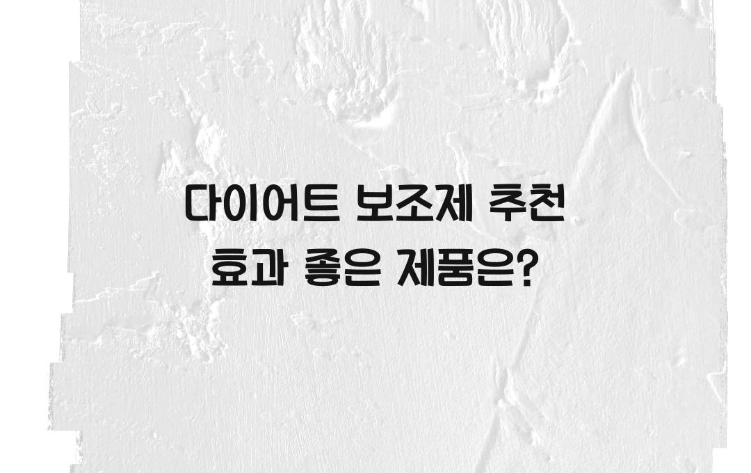 다이어트 보조제 추천