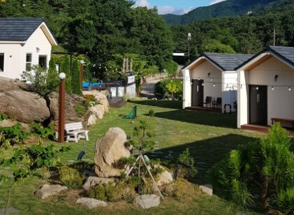 젤루느린달팽이