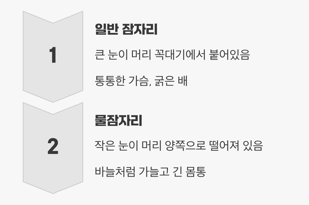 눈과 몸매가 달라요, 잘생김의 차이