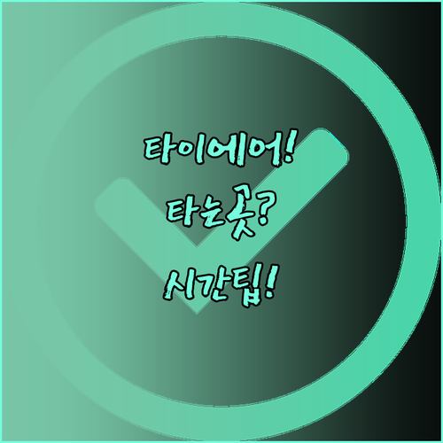 인천공항 타이에어아시아엑스 타는 곳과..