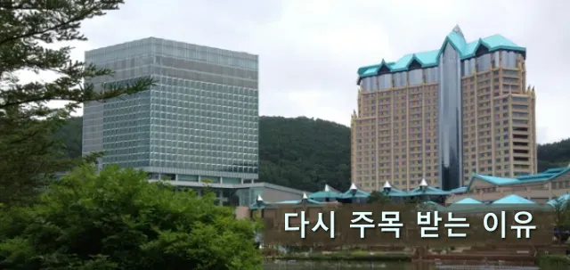 강원랜드 주가에 관심을 두고 건물을 바라보는 모습