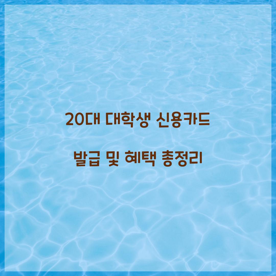 20대 대학생 신용카드 발급
