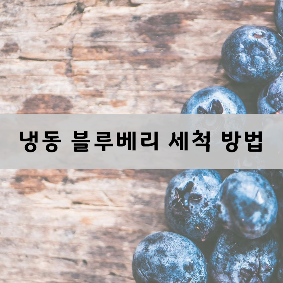 냉동-블루베리-세척-방법