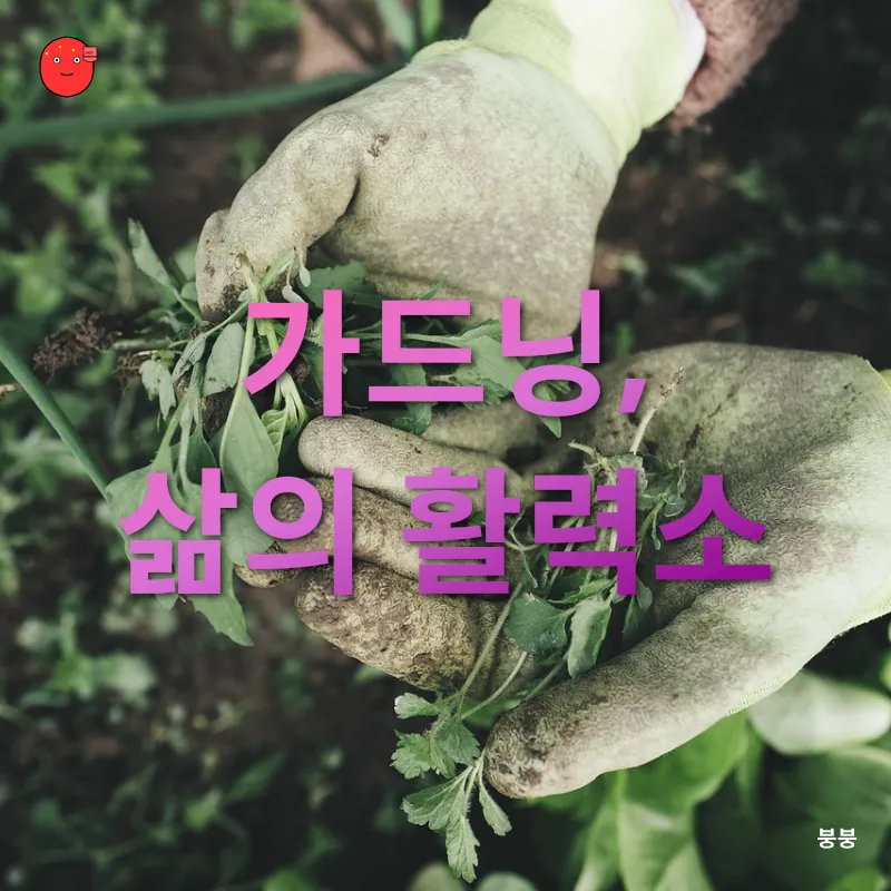 가드닝의 재발견_3