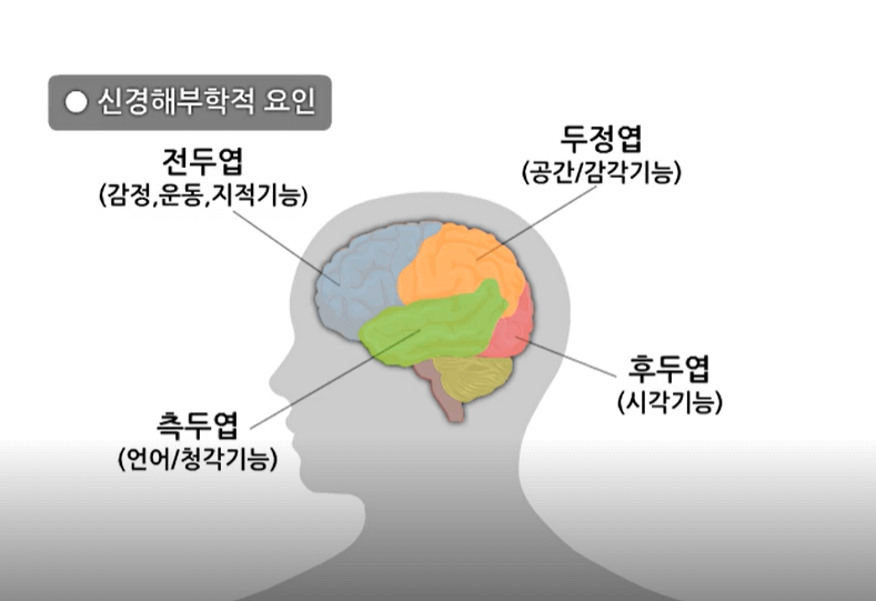 우울증의 생물학적 요인3