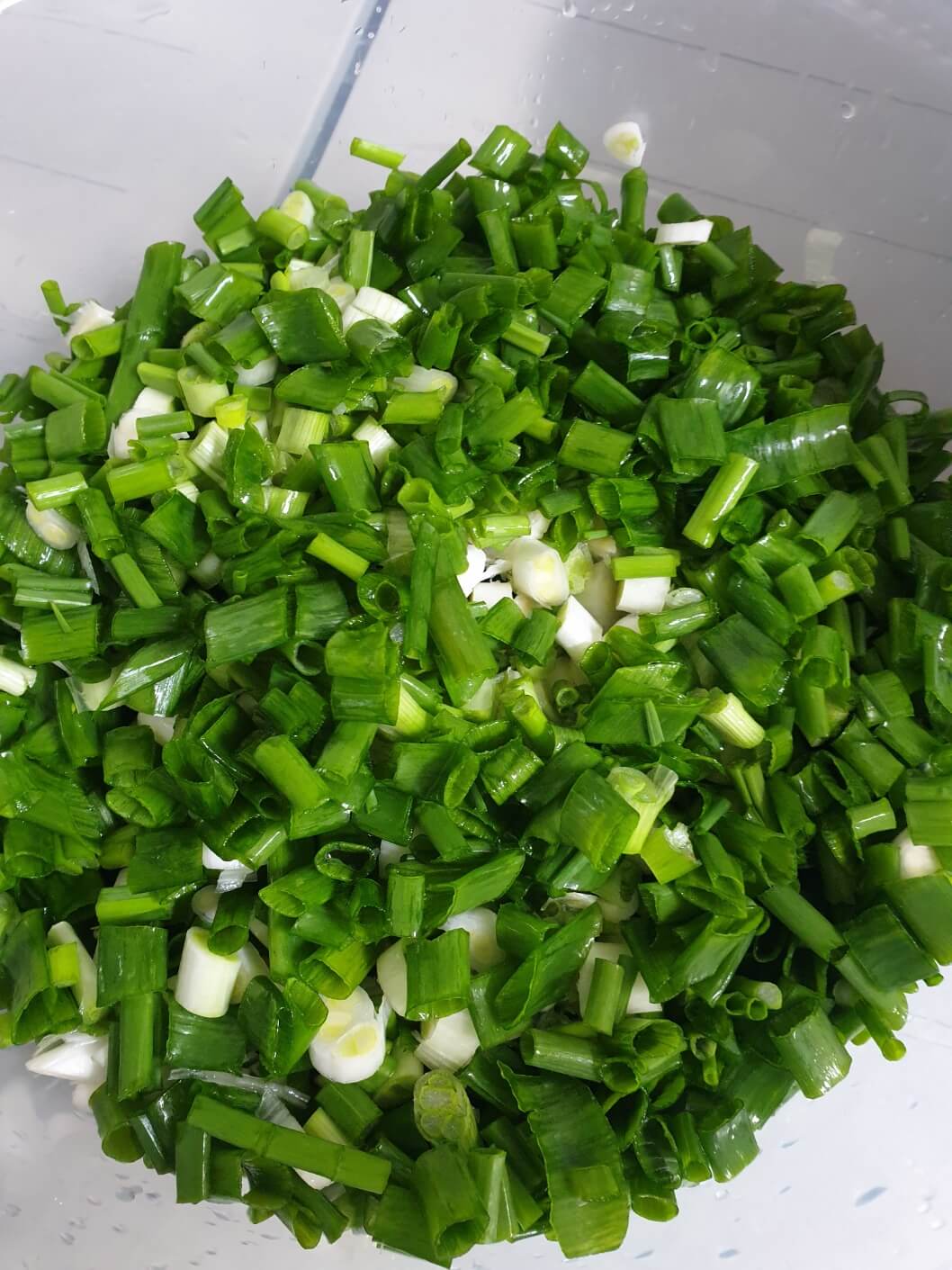 김치 재료 잔파