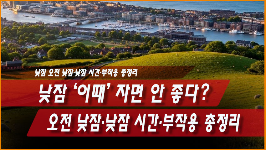 낮잠 &lsquo;이때&rsquo; 자면 안 좋다? 오전 낮잠&middot;낮잠 시간&middot;부작용 총정리
