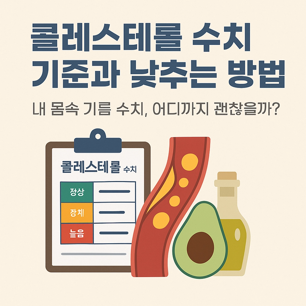 콜레스테롤 수치 기준과 낮추는 방법