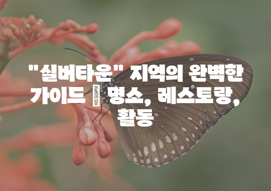 샘플 (51)