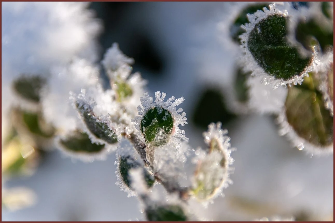 적금 금리 높은곳