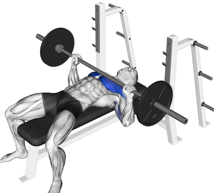 벤치프레스 자세