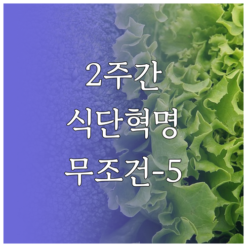 성인 남성 2주 다이어트 1500칼로..