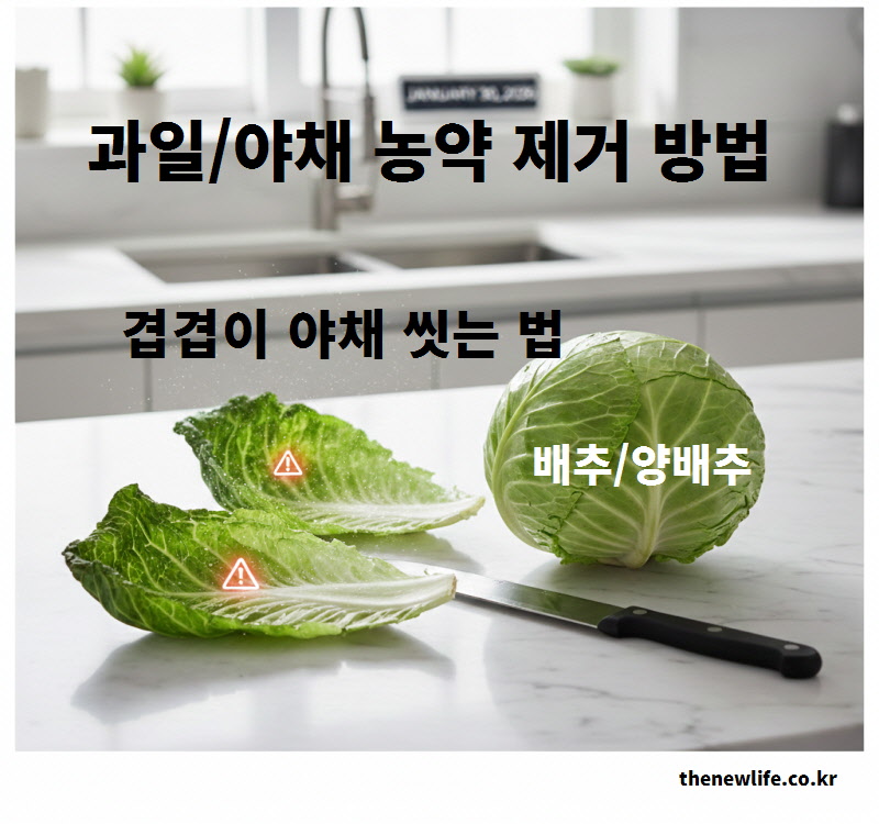 양배추와 배추의 겉잎을 떼어내고 잘라서 과일 야채 농약 제거 방법을 적용해 씻는 장면