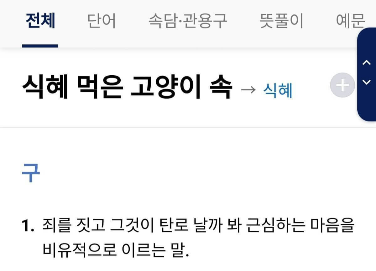 식혜먹은고양이속