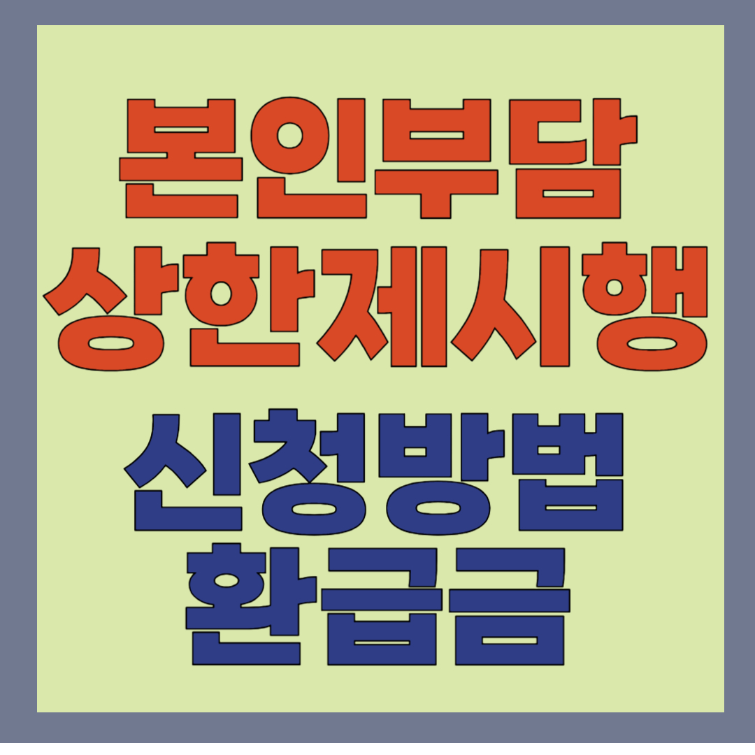 본인부담상한제 환급
