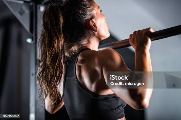 헬스장 인기운동 TOP 3