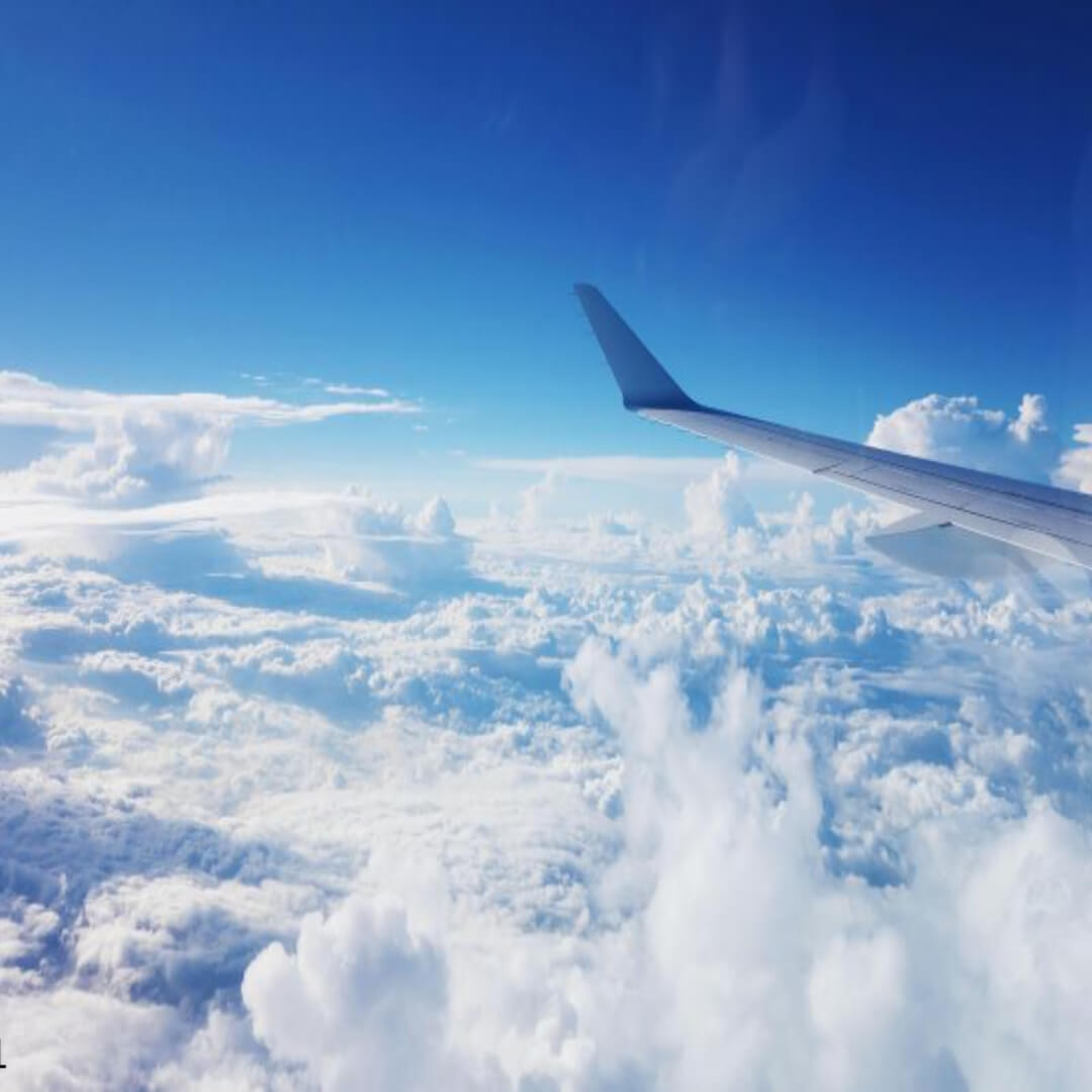 비행기 생존율 높이는 방법 5가지