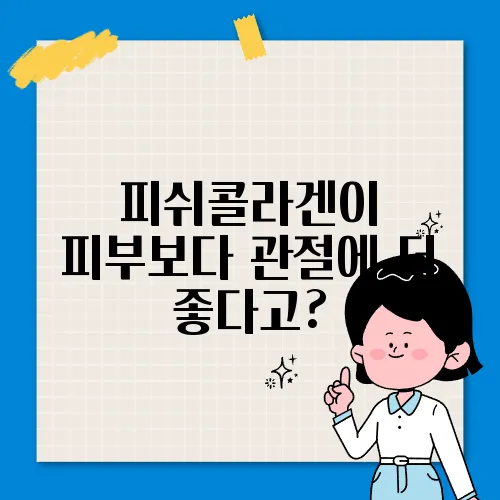 피쉬콜라겐이 피부보다 관절에 더 좋다고?