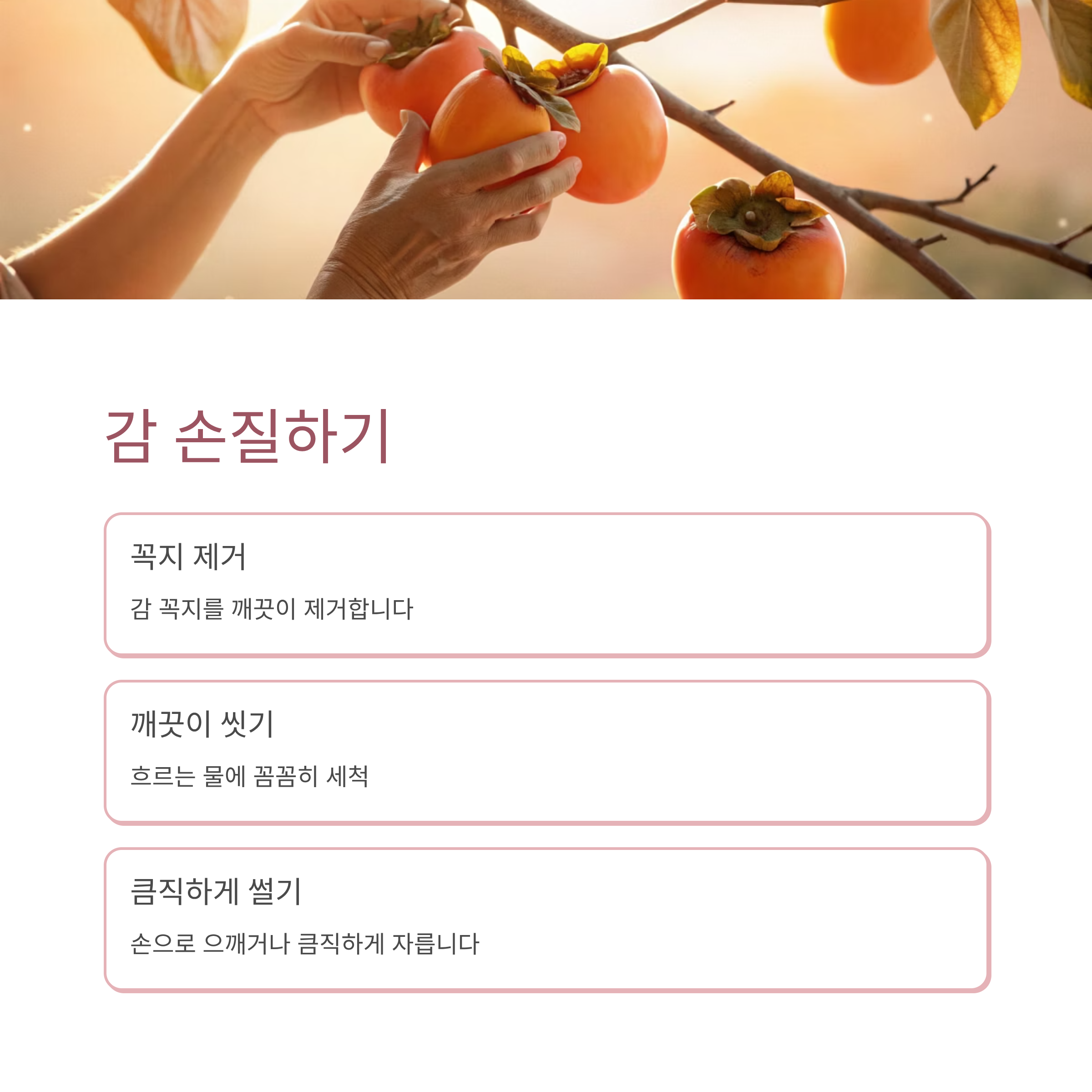 감식초 쉽게 만드는법: 집에서 천연 발효로 건강하게 만드는 완벽 가이드