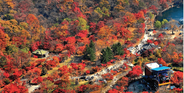 단풍구경-가볼만한-곳-내장산