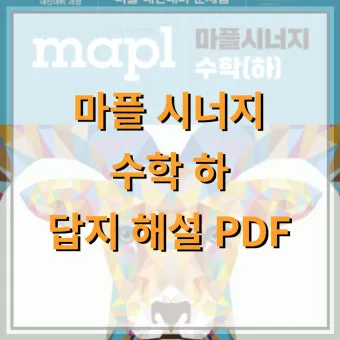 2025 마플시너지 공통수학2 책소개 교재리뷰 답지 모음집_16